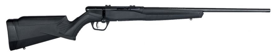 SAV 70800 B17F 17HMR