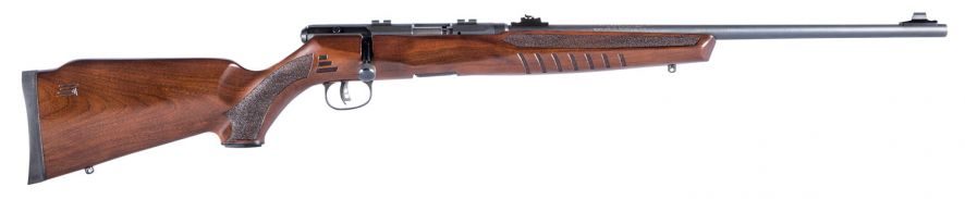 SAV 70510 B22G MAG 22WMR