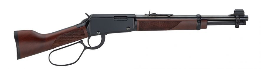 HENRY H001MML LEVER MARES LEG 22MAG