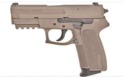 SIGARMS 9MM SP2022 FDE NS DA/S