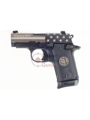 Sig Sauer P238 Stand – .380 ACP