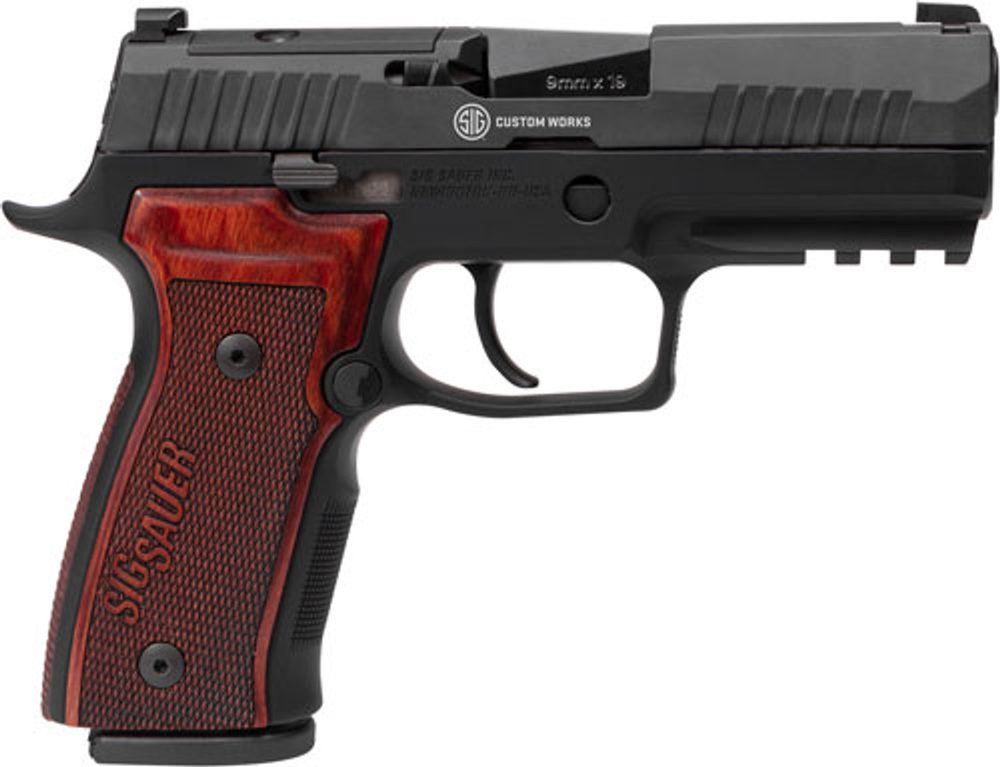 Sig Sauer P320 AXG Classic 9mm, Night Sights, Talo Exclusive, 17rd Sig Sauer